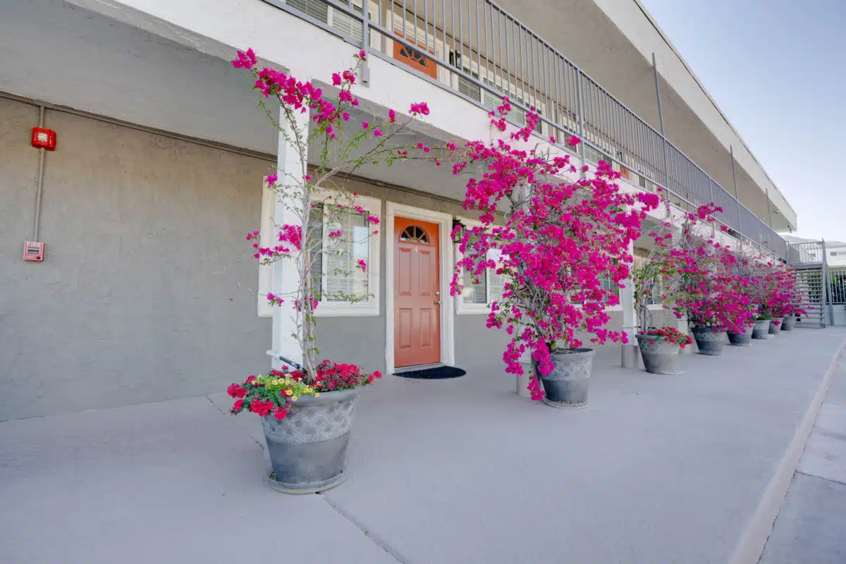 California Behavioral Health LLC - Preview